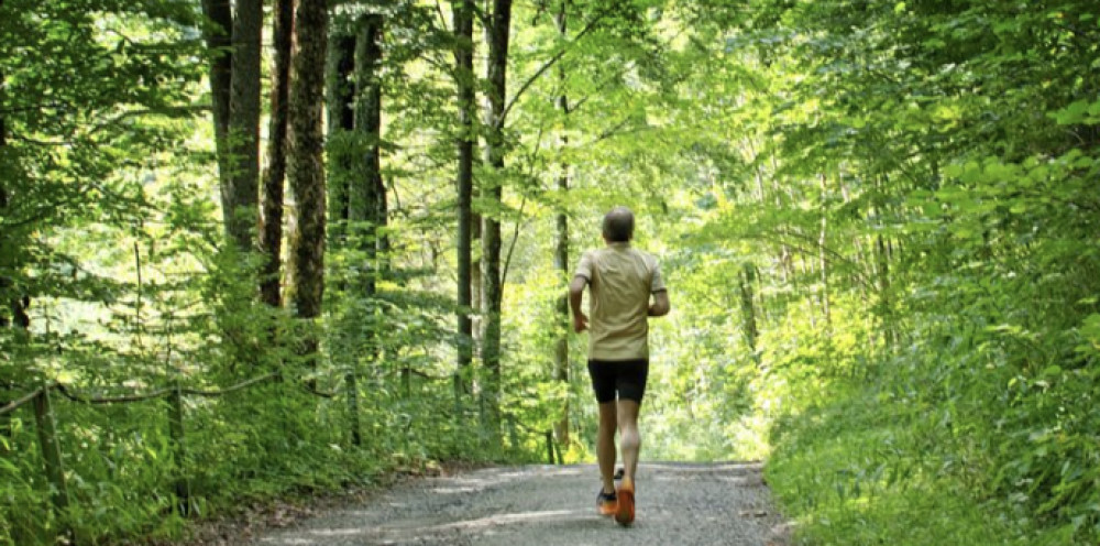 Simpson Financial Services surpasses £1,000 target for Leamington charity in April's 10k Wolf Run (image via rawpixel.com)