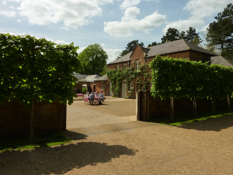 Open Garden for Charity 