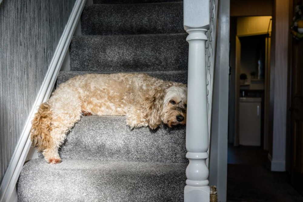 Our friends and sponsors at Julian Wadden present this 'exceptional' four-bedroom end terrace in Reddish (Image - Julian Wadden)
