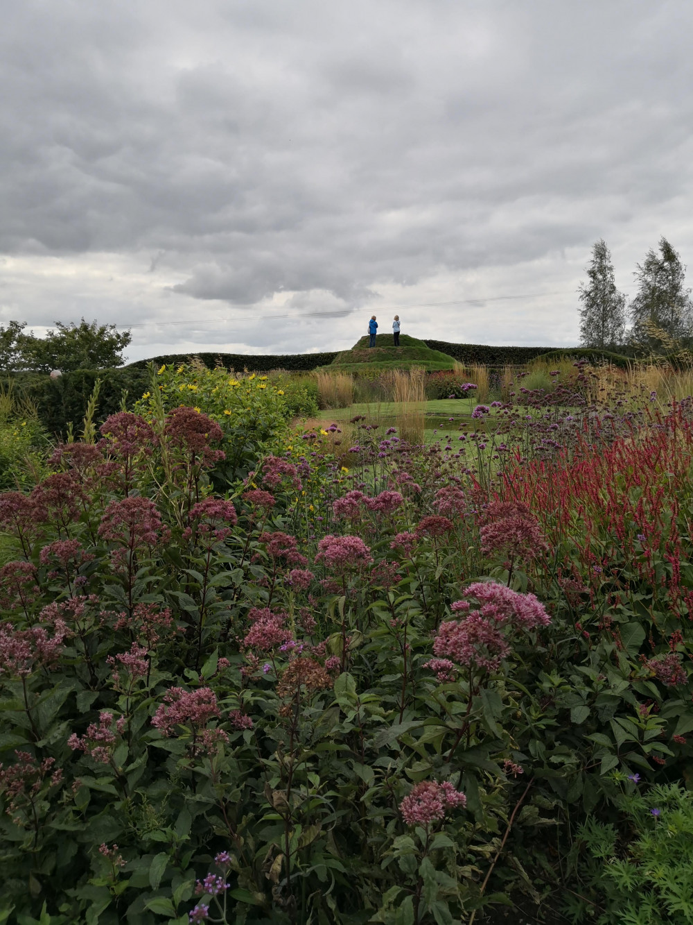 Garden Open for Charity 