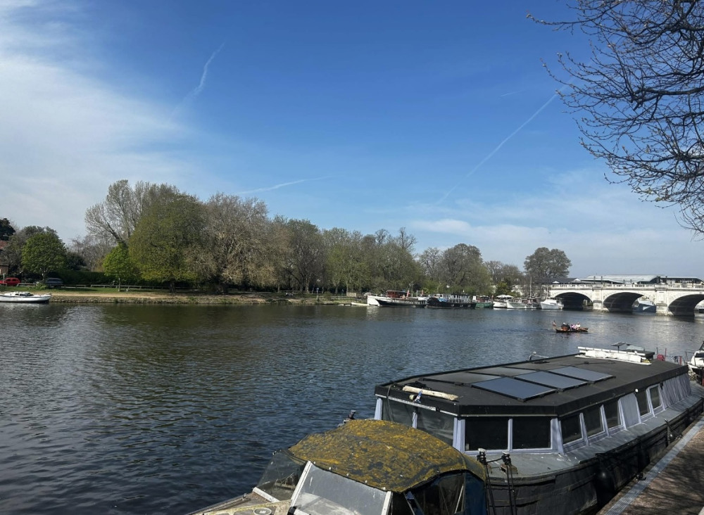 The Thames at Ham and Kingston could become London's first designated bathing spot (Credit: Tilly O'Brien)
