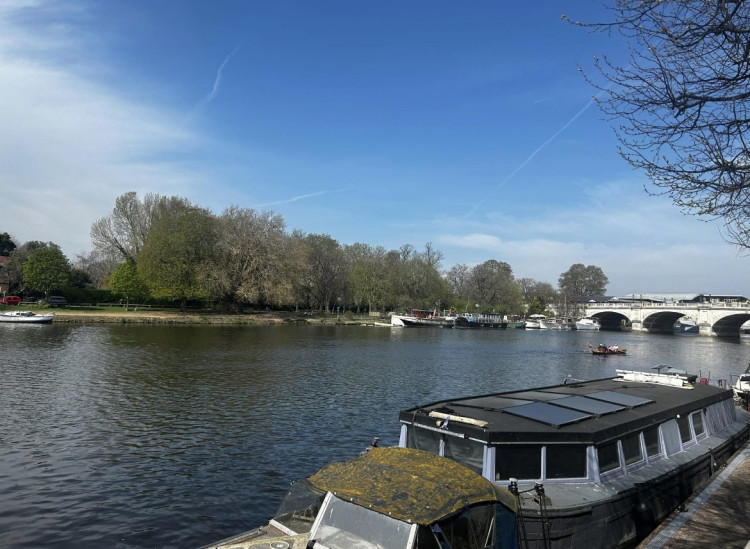 The Thames at Ham and Kingston could become London's first designated bathing spot (Credit: Tilly O'Brien)