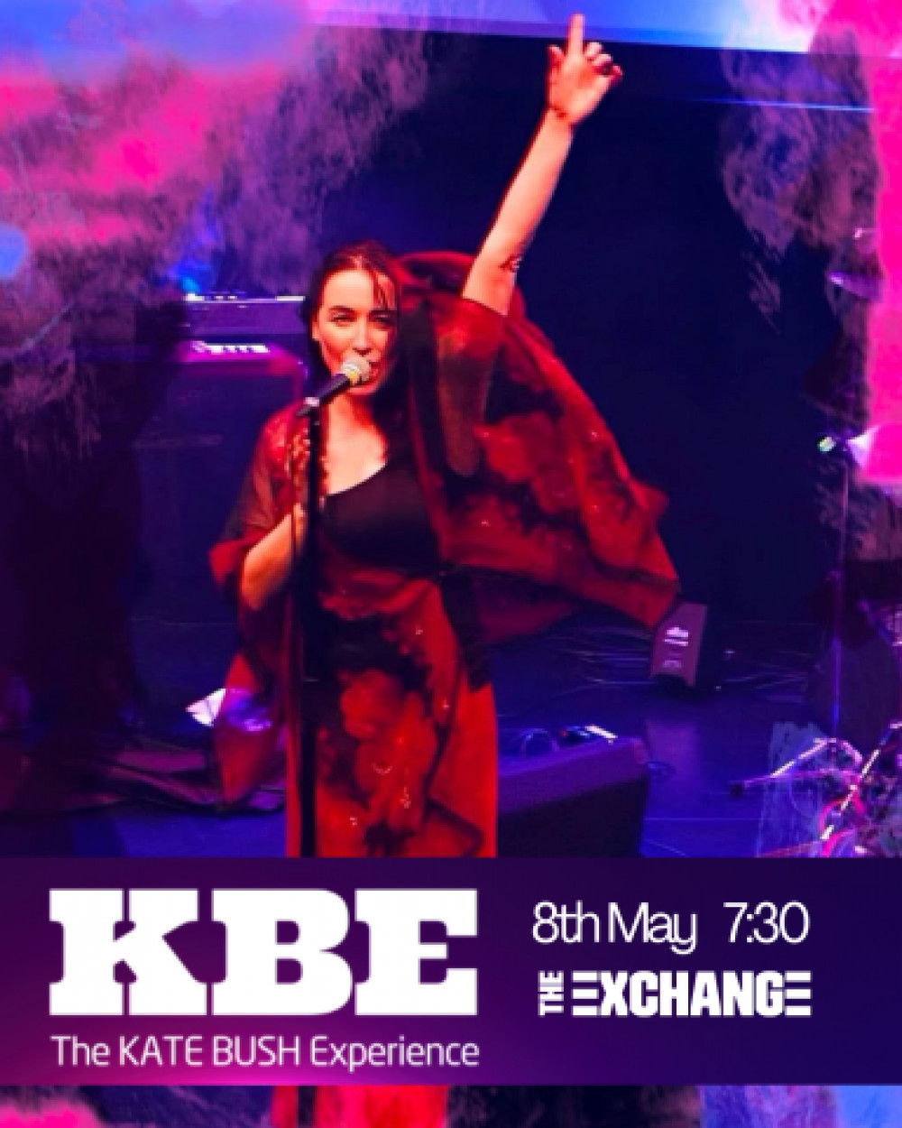 The Kate Bush Experience