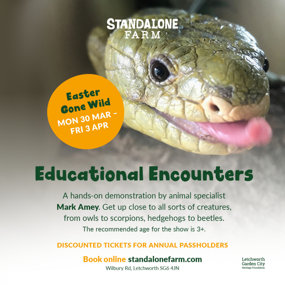 Educational Encounters: Easter Gone Wild