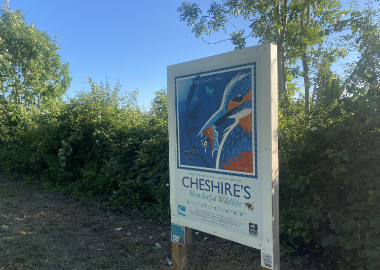 A new wetland project is set to transform parts of the Countess of Chester Country Park (Nub News)