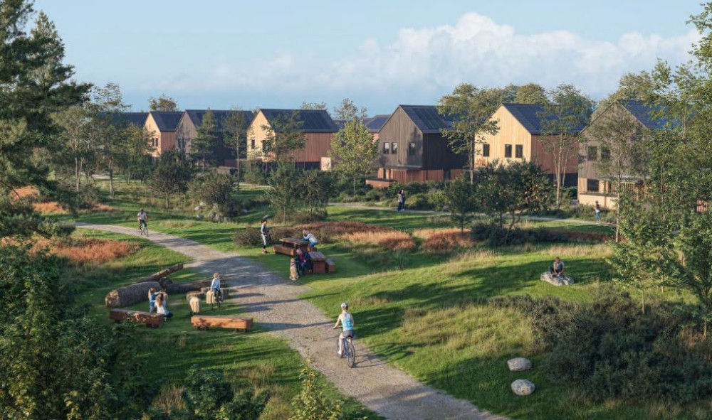 How the new homes could look. 