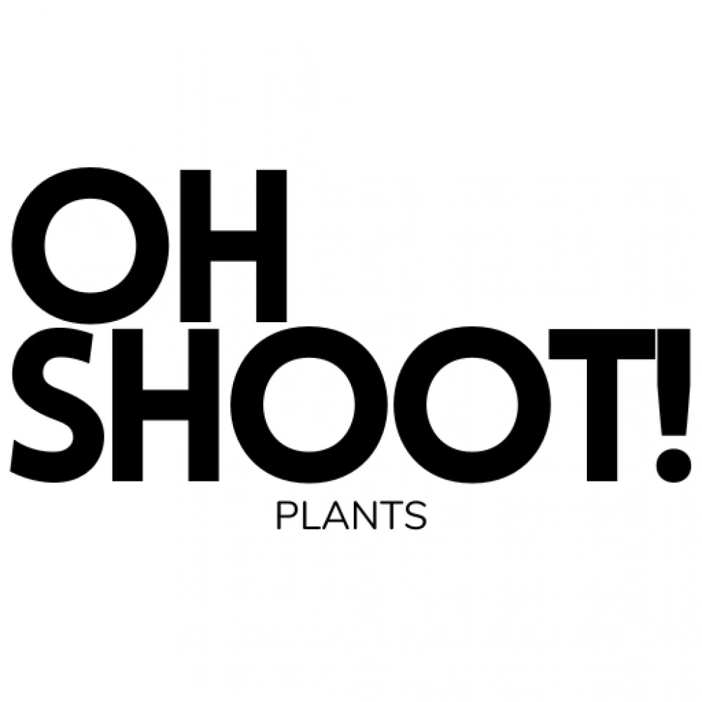 Oh Shoot! Plants