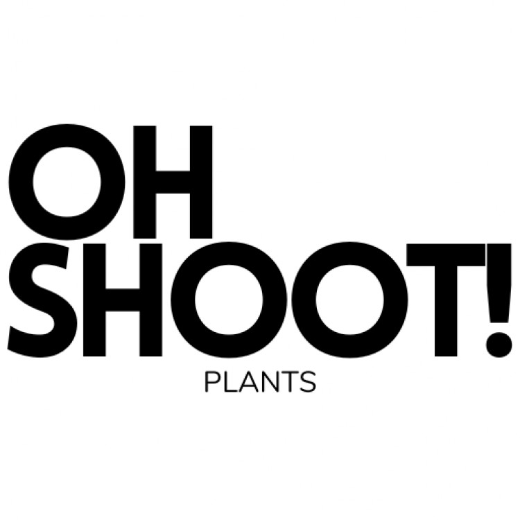 Oh Shoot! Plants