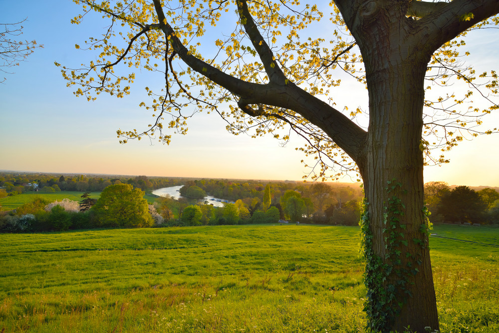 Richmond Hill Open Gardens 2026