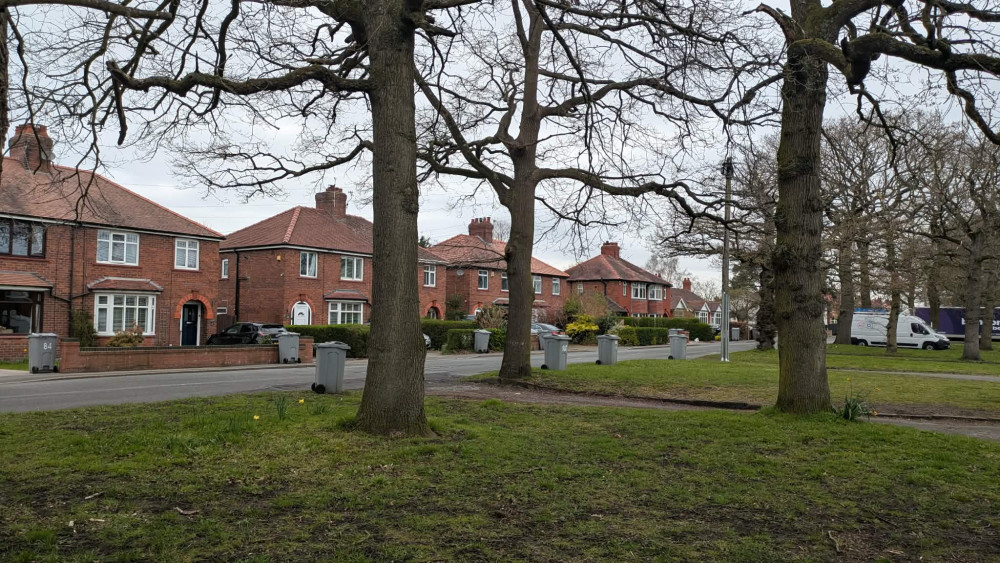 Rows of grey bins in Abbey Road, Elworth following the missed round yesterday (Tuesday). (Photo: Nub News) 