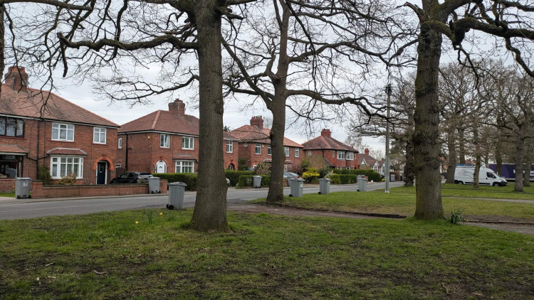 Rows of grey bins in Abbey Road, Elworth following the missed round yesterday (Tuesday). (Photo: Nub News) 