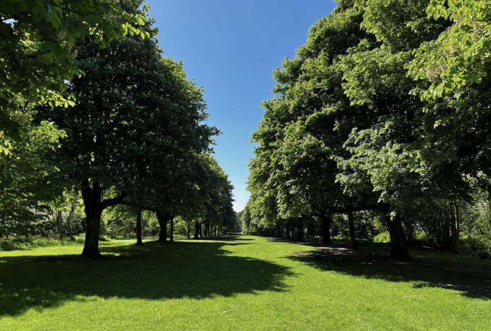 Grass cutting at Norton Common 