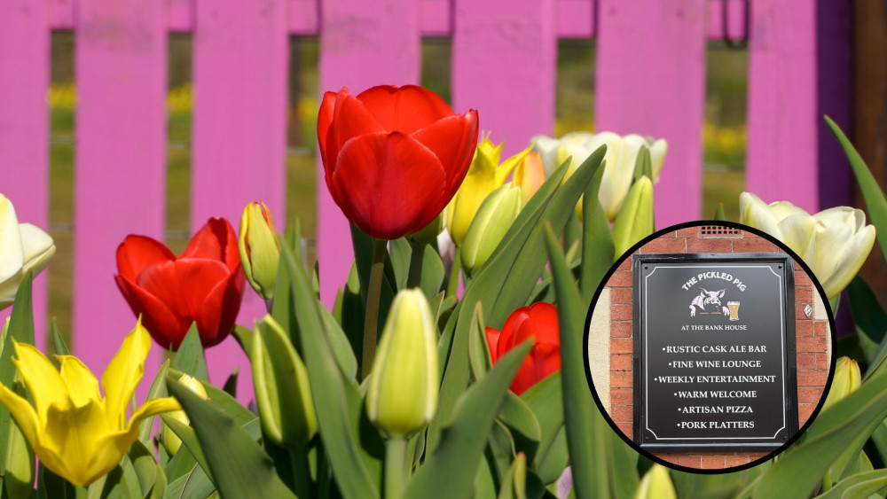 Are you looking for something to do this weekend? (image via Lower Drayton Farm/Livia Gregor)