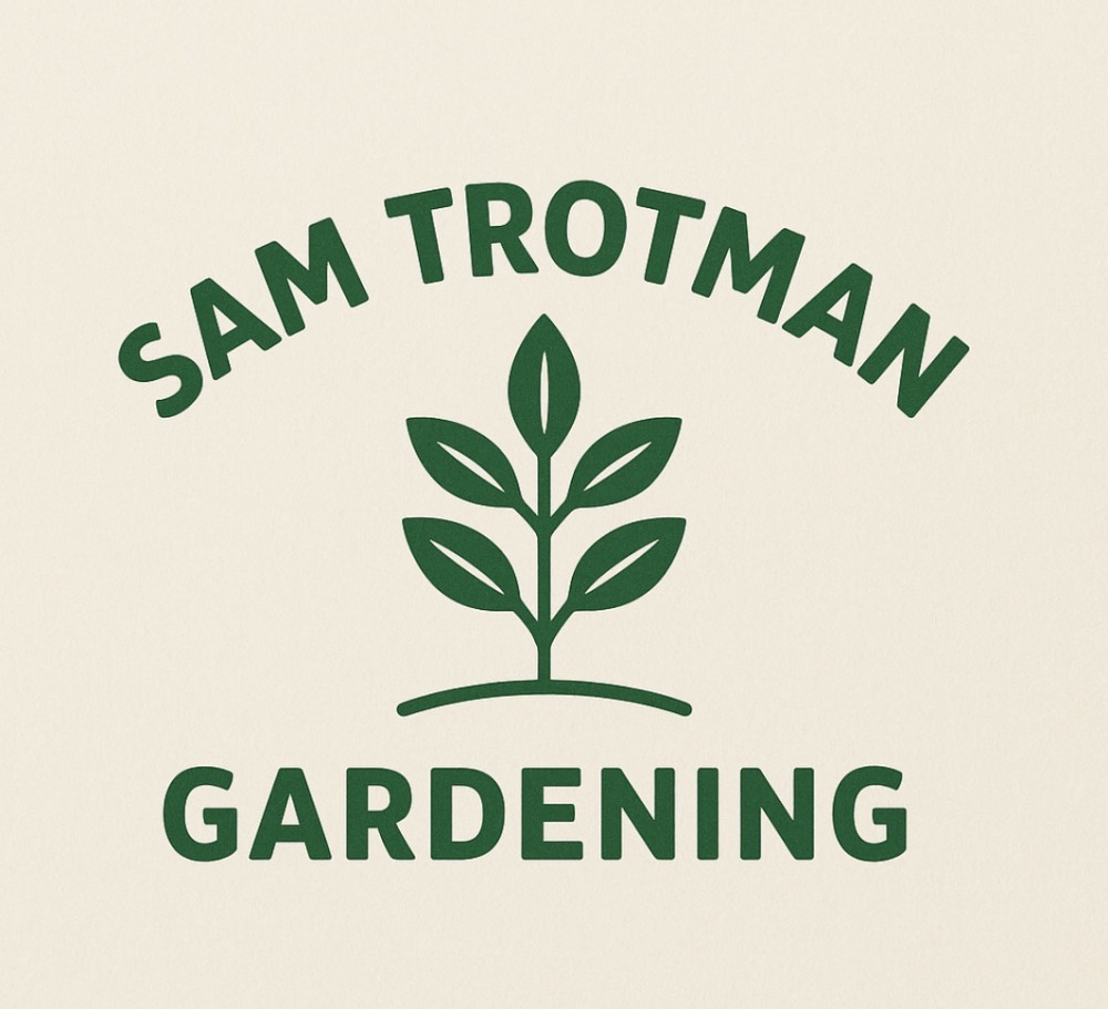 Sam Trotman