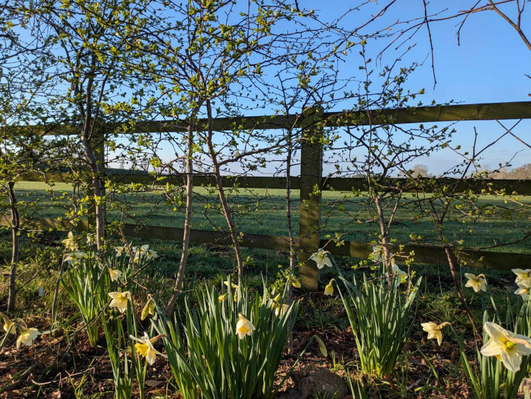 Plenty of jobs up for grabs in and around Sandbach. (Photo: Nub News) 