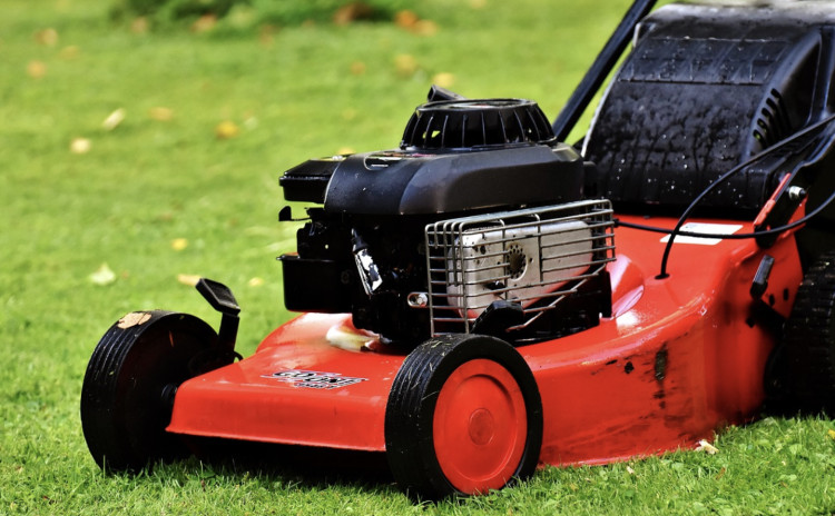 Warwickshire residents can apply for a garden waste permit for collections from 1 April 2026 to 31 March 2027 for £51  (image via Alexas / Pixabay)