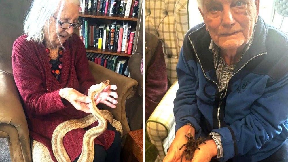 Residents at Crandon Springs Care Home in Wells engaged with exotic animals from GRAB (Supplied) 