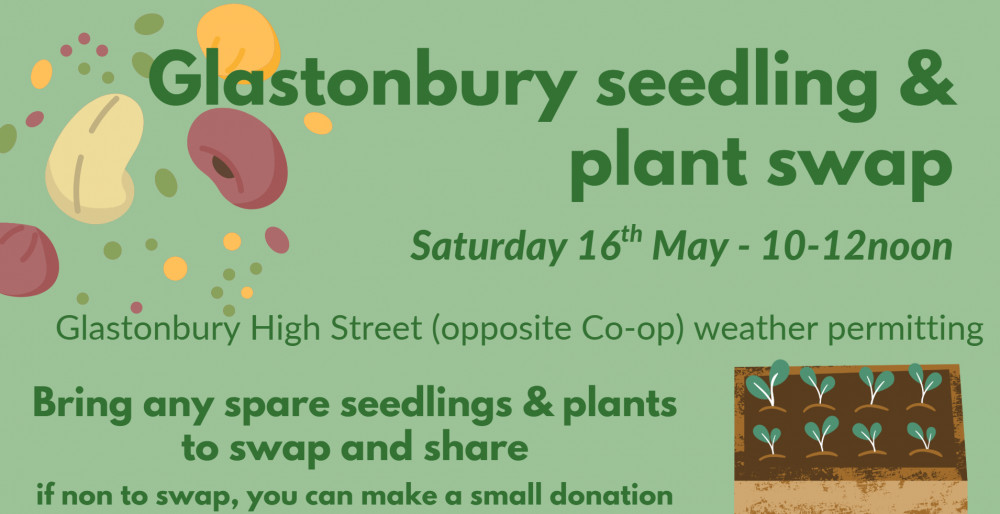 Glastonbury plant swap