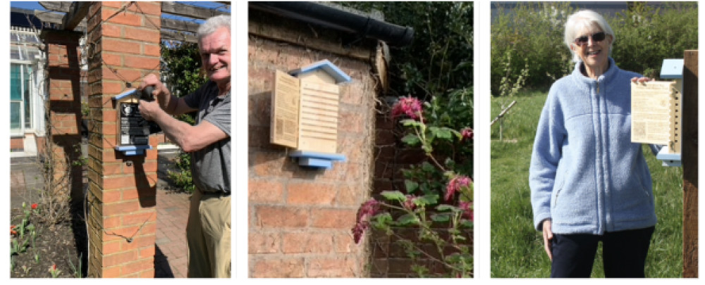 Bee Friendly Warwick will launch a Wild Bee House and Nature Trail on Sunday, 3 May (images supplied)