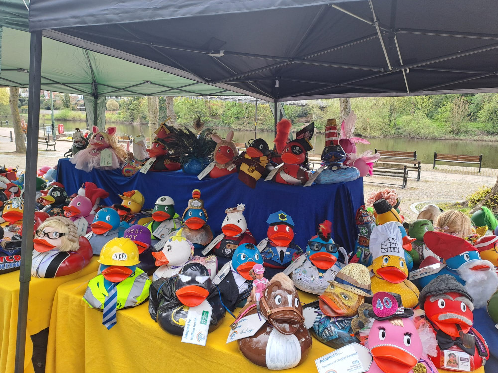 Chester's annual Duck Race returns to the Groves later this month (Image via: The Countess Charity)