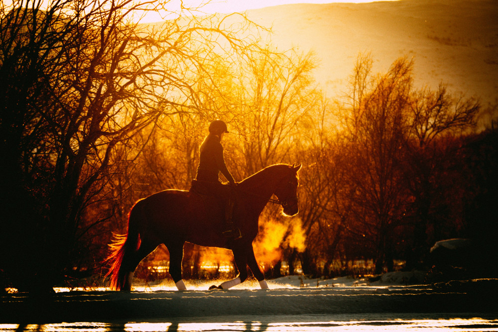 Horse-riders feel overlooked as vehicles block a Mendip Hills route. 