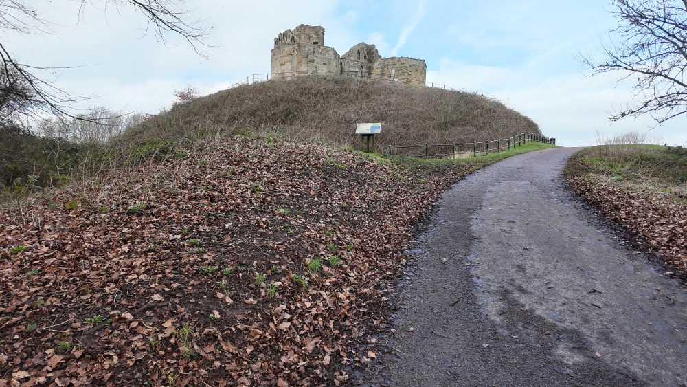 Will you volunteer? (image via Livia Gregor)