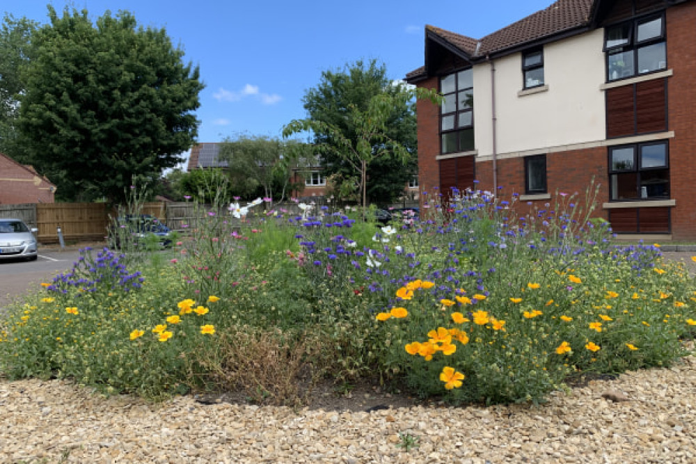 Glastonbury Care Home is seeking local volunteers for resident support and is hiring a part-time cook. 