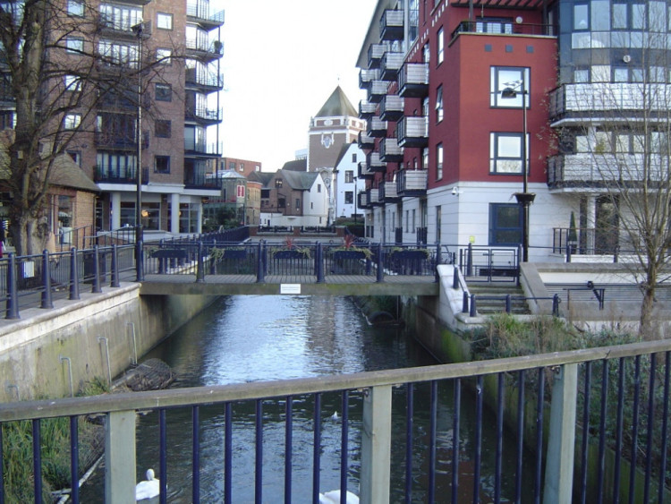 A local wildlife group has confirmed that the Hogsmill River in Kingston has not been polluted following an alert about dead fish (Credit: Wikkimedia Commons)