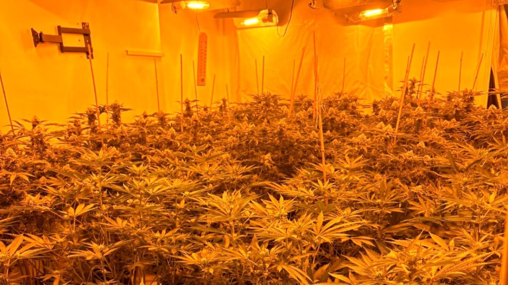 On Friday 10 April, Cheshire Police conducted a warrant at an address on Evans Street in Crewe (Photo: Crewe Police).