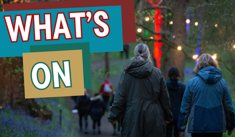 Macclesfield Nub News' guide to the weekend (Credit: ECH)