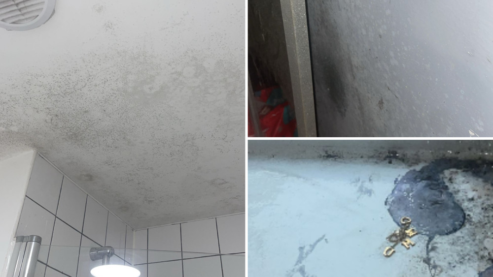 A Macclesfield tenant won compensation after years of living with damp and mould thanks to Disrepair Support (Credit: Supplied)