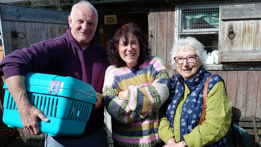 An elderly cat has been reunited with its owners after more than a year missing