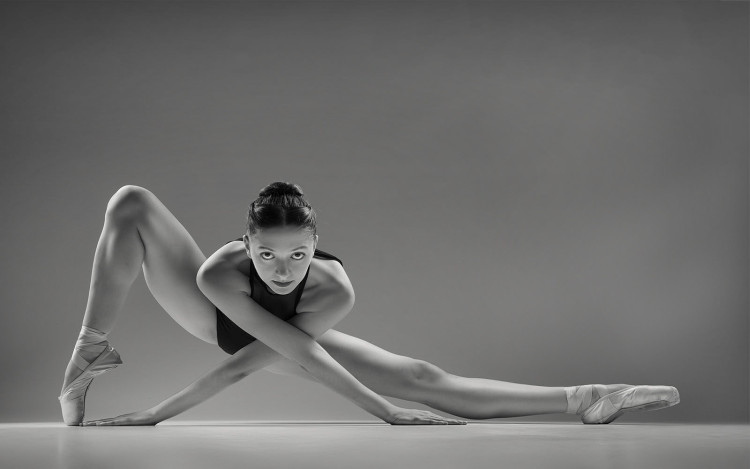 'Angles and Extensions' by Ester Riordan, which won the inaugural Best in Show trophy at Leamington Spa Photographic Society's end-of-season competition 