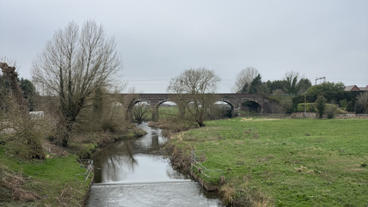 Are you looking for something to do this weekend? (image via Livia Gregor)