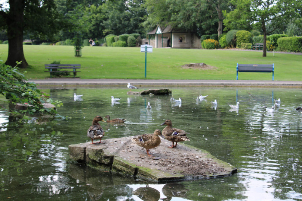 Town council says Collett Park improvements including a café, toilets and bike racks are moving ahead.