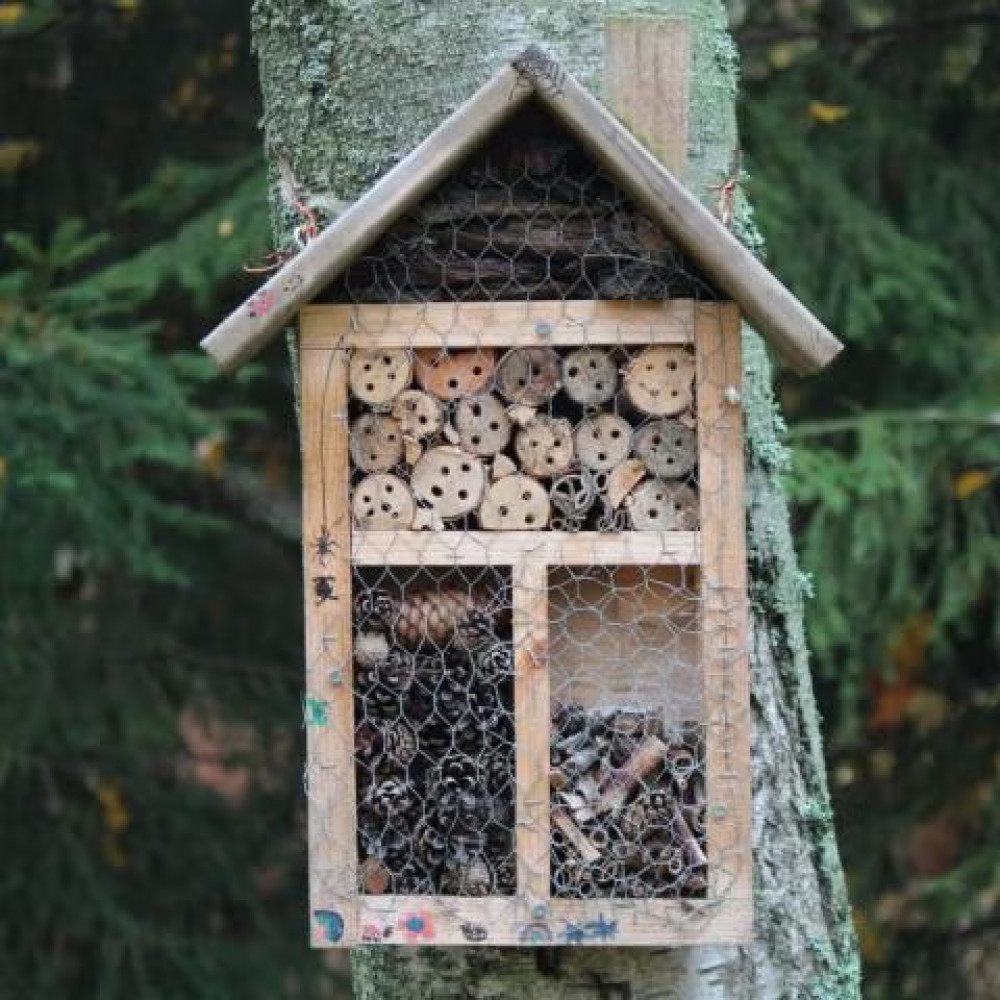 Family Bug Hotel Building
