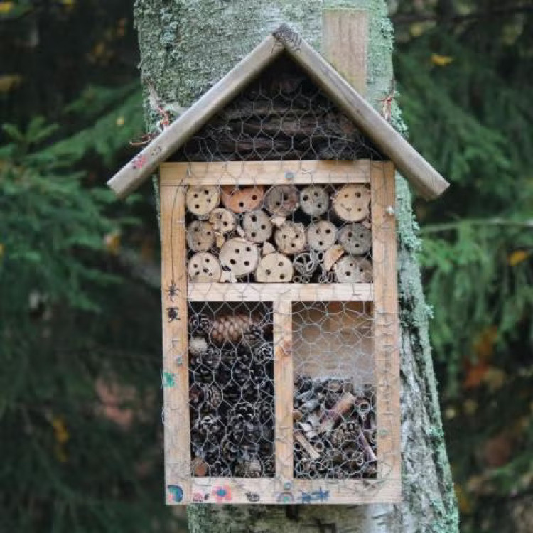 Family Bug Hotel Building