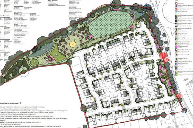 Outline plans for the new estate off Ayston Road (image via application)