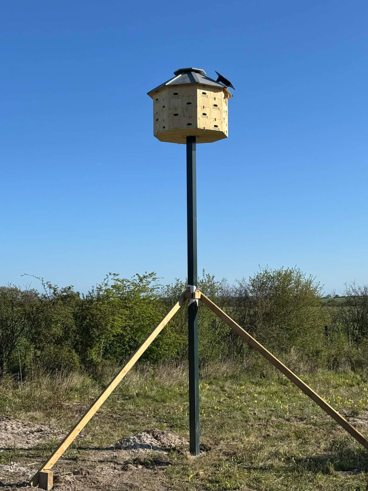 The first Swift tower in Hertfordshire?