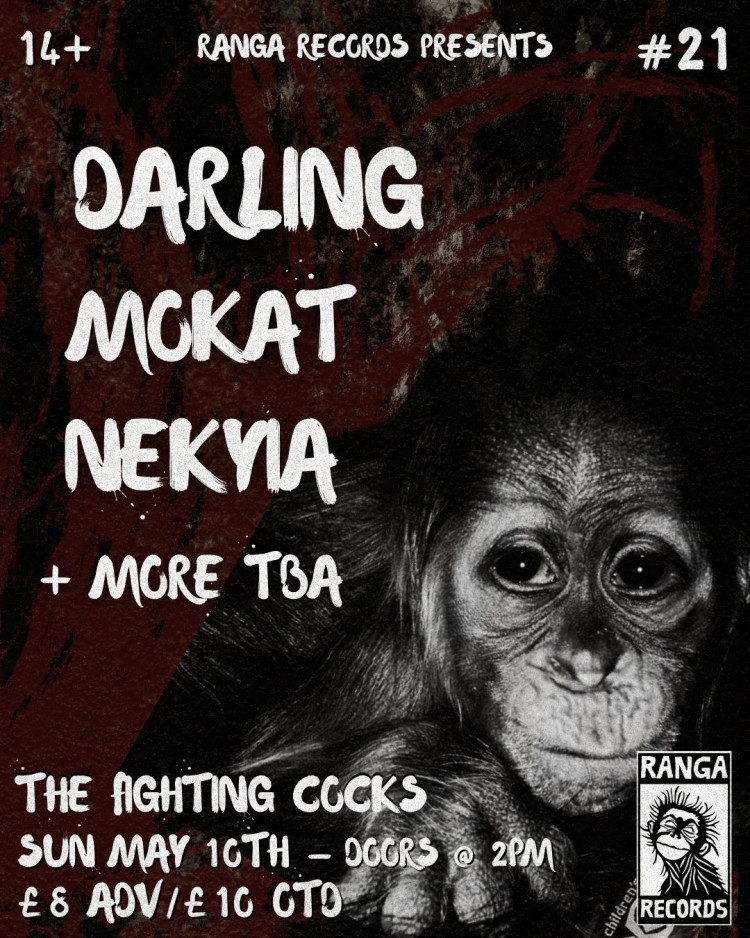 Ranga Records Youth Gig