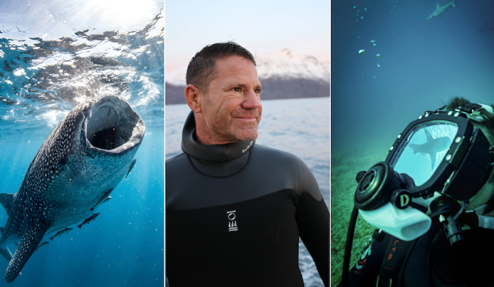 World-renowned wildlife conservationist Steve Backshall will host a new stage show all about sharks at Chester Zoo (Image supplied)