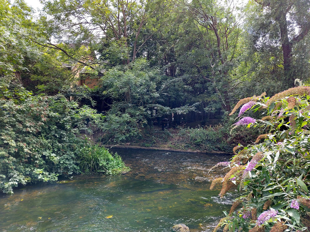 The exhibition is based on the Hogsmill River, which runs on either side of the Stanley Picker Gallery in Kingston (Image supplied)