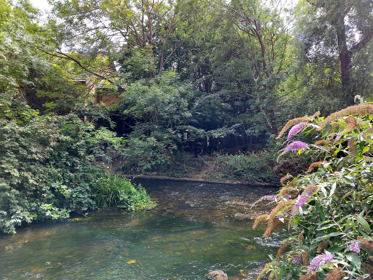 The exhibition is based on the Hogsmill River, which runs on either side of the Stanley Picker Gallery in Kingston (Image supplied)