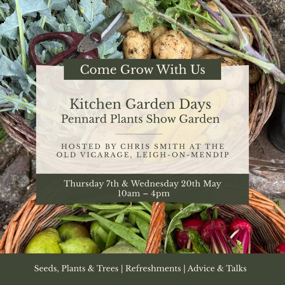 Kitchen Garden Show Day
