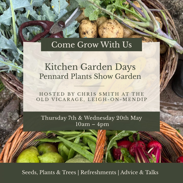 Kitchen Garden Show Day