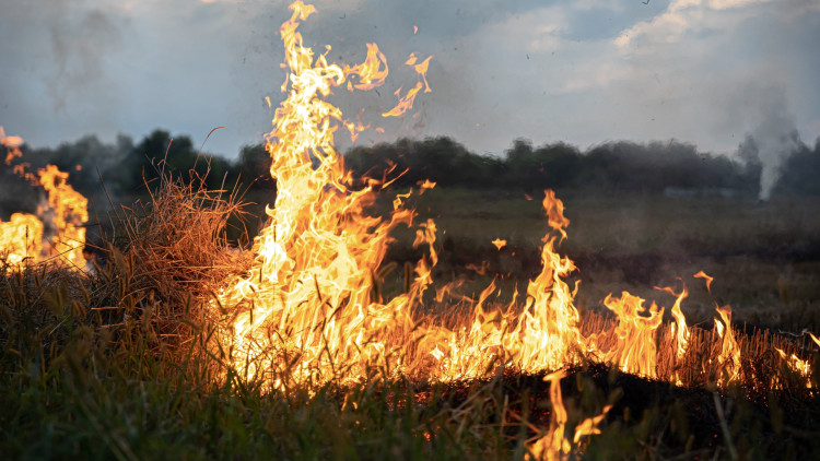 Fire can cause damage to landscapes, wildlife and communities (image via pvproductions)
