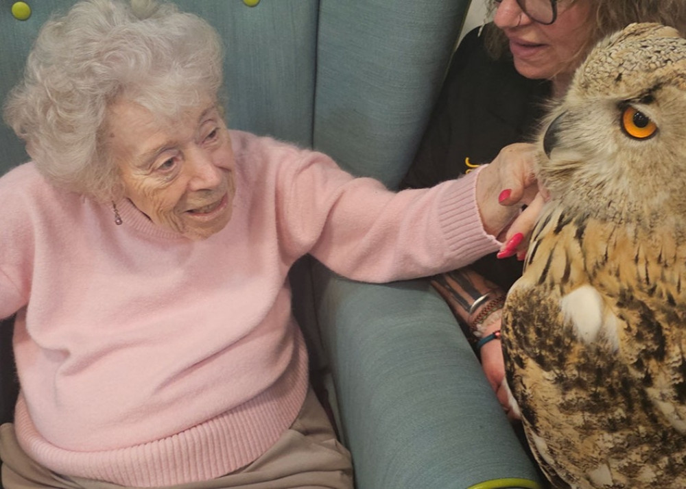 Sheila Church with Perdy, a Siberian Eagle owl 