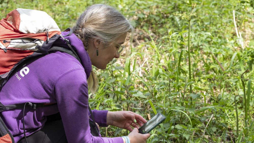 The free event will take place from Friday 24 to Monday 27 April (image via Staffordshire Wildlife Trust)
