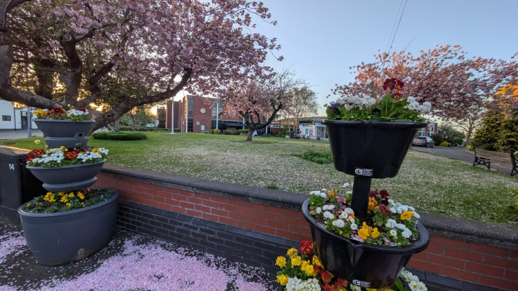 Lots happening in and around Alsager this weekend. (Photo: Nub News)