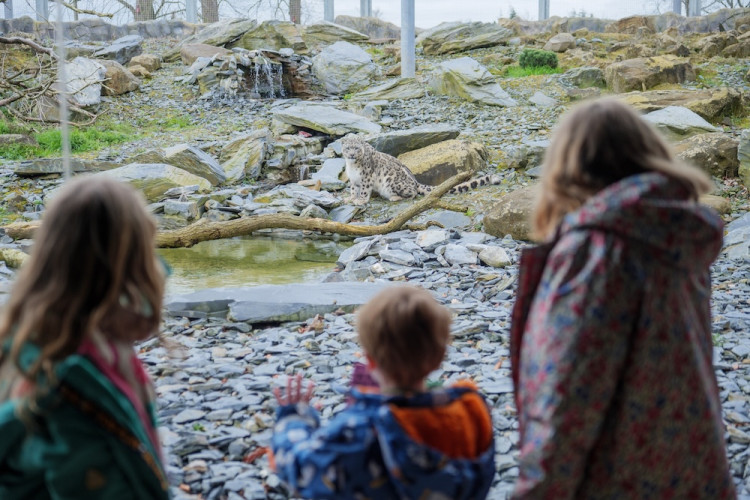 The conservation zoo has ranked top on the list of the UK’s leading zoos and aquariums (Image via: Chester Zoo)